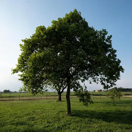 Cascina Graziosa