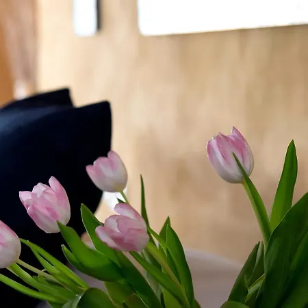 Alloggio per agriturismo Cascina Graziosa *