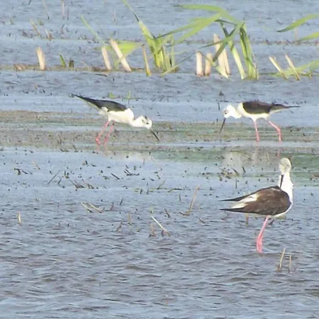 ファームステイ Cascina Graziosa