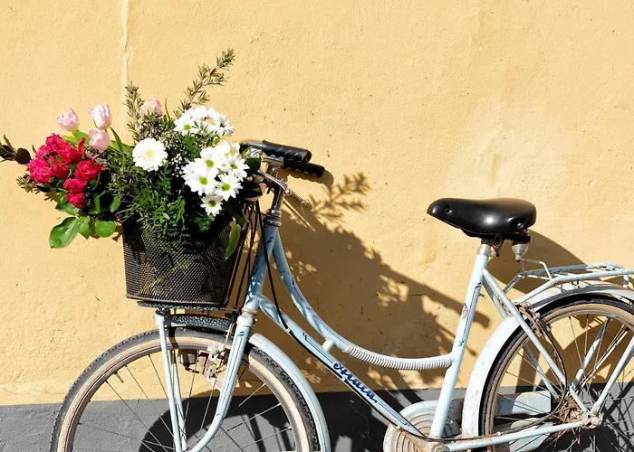 Cascina Graziosa 农家乐 *