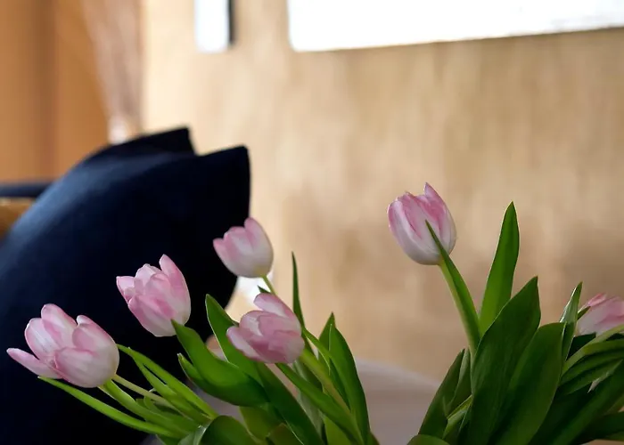 农家乐 Cascina Graziosa *