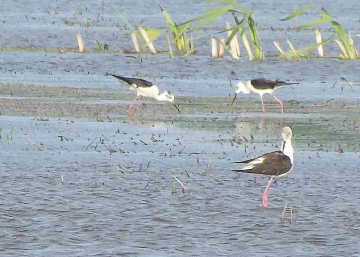 农家乐 Cascina Graziosa